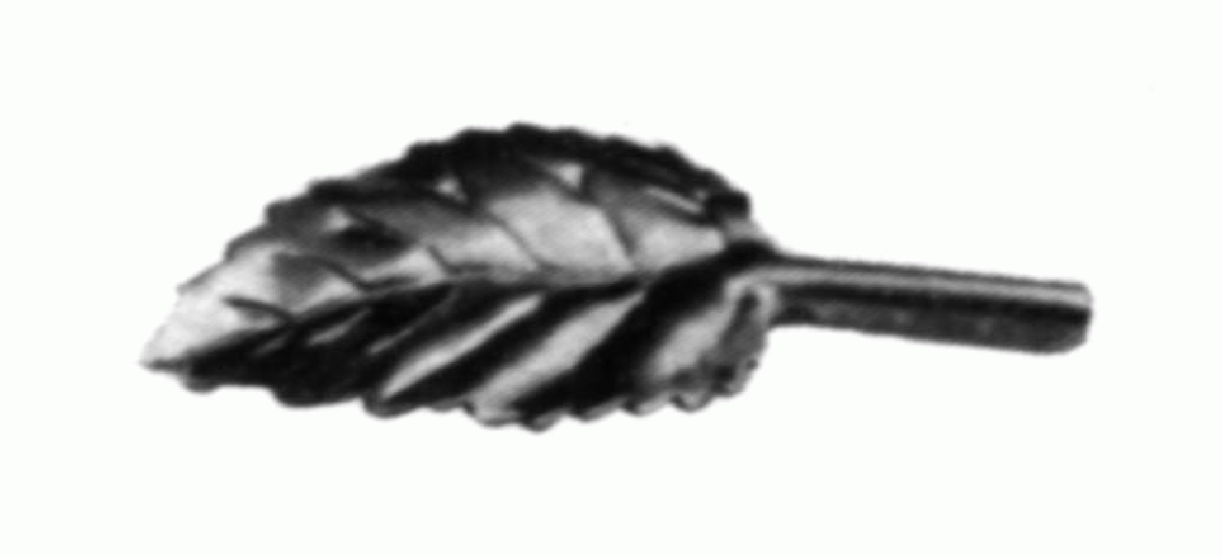 fleur et feuille fer forgé